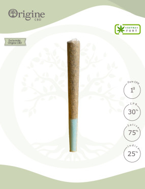 Pré-roulée Cigarette Amnesia 30% CPR