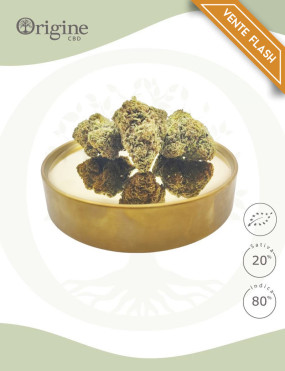Critical Kush BIO CBD 25 grammes