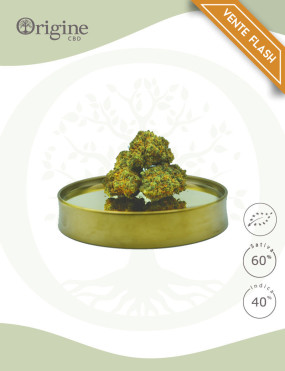 Sour Blueberry BIO CBD Small Buds 25 grammes