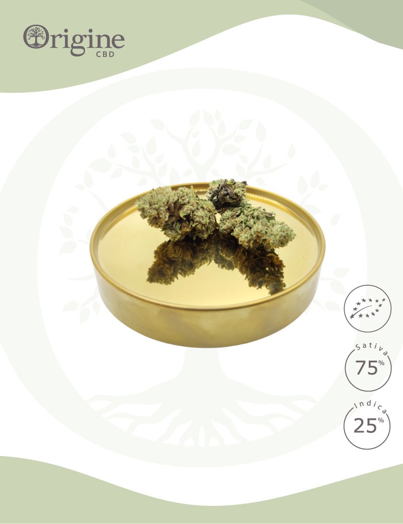 Waterlemon BIO CBD Waterlemon BIO CBD