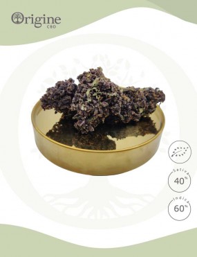 Purple Black BIO CBD