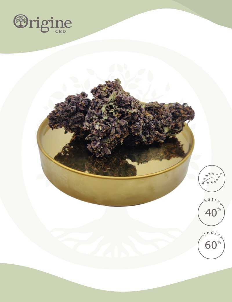 Purple Black BIO CBD Purple Black BIO CBD